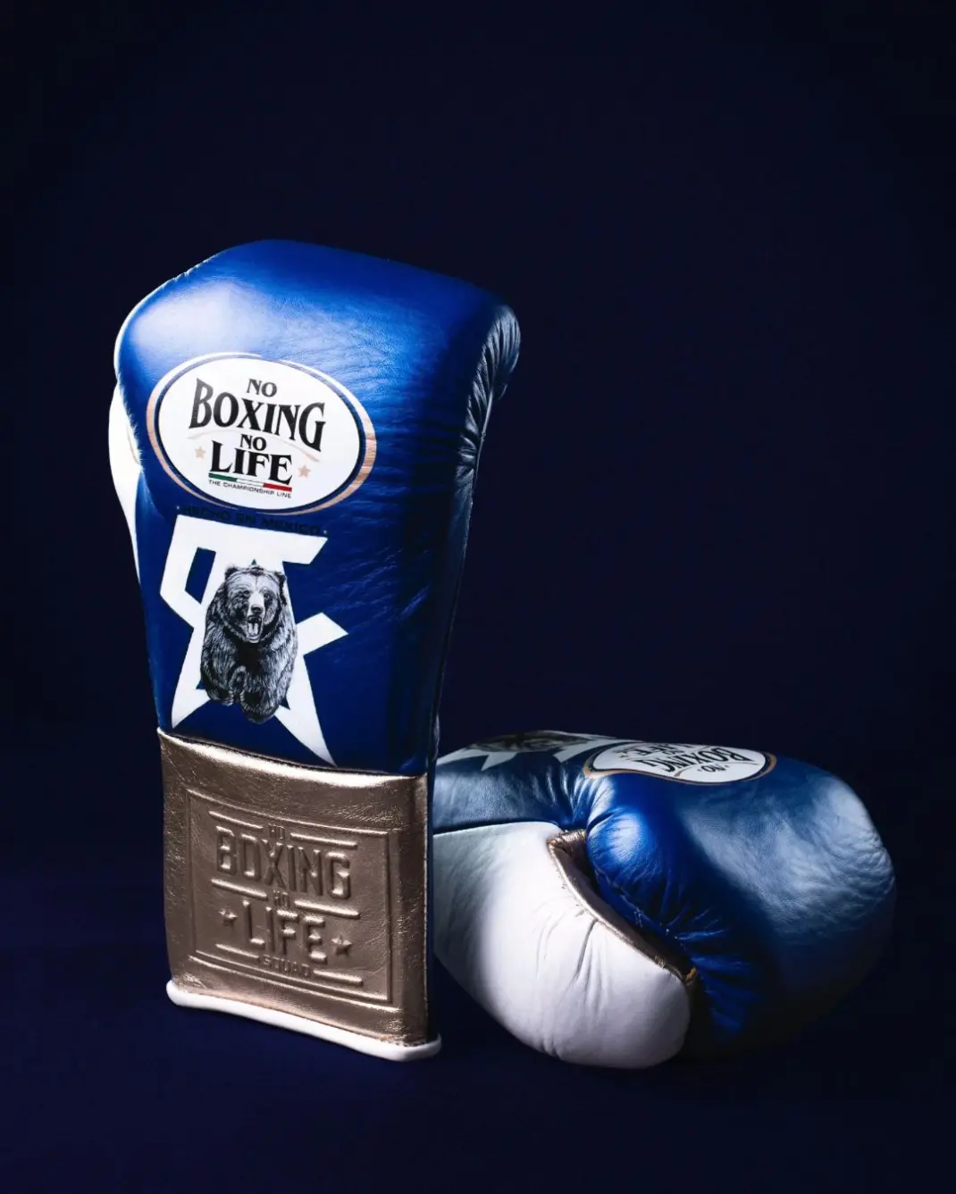 Bienvenido | No Boxing No Life